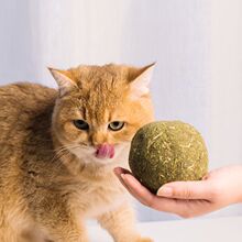 超大猫薄荷球玩具自嗨磨牙逗舔乐逗猫棒耐咬猫咪玩具亚马逊代发