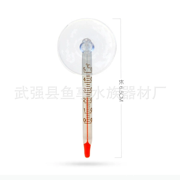 Small thermometer