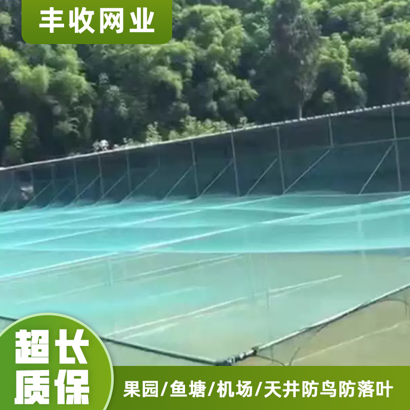 农用防鸟网 果园果树防护防鸟网 农田樱桃葡萄养殖防鸟网多规格