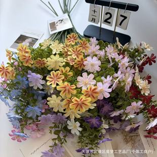 Ұ�Nޱ���滨 СҰ��������@�L С���¼ٻ��������zӰ�����b�