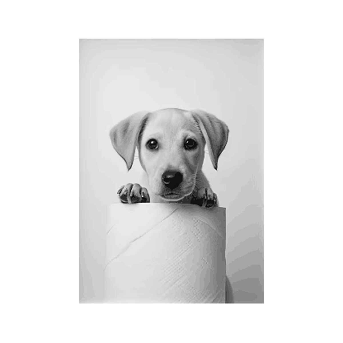 Negro y blanco adorables animales con papel higiénico póster búho perro lienzo pintura de pared arte baño sala de estar decoración del hogar