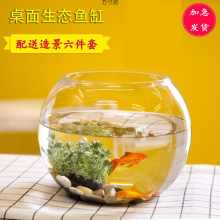 办公室小鱼缸加厚透明玻璃乌龟缸客厅家用桌面圆形迷你金鱼缸批发