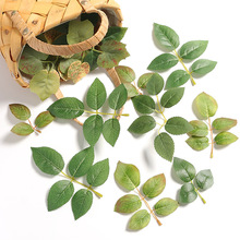 2026���zӡõ���~ DIY�ֹ�����Gֲ��c�Ҿ��b�ֲ����R��