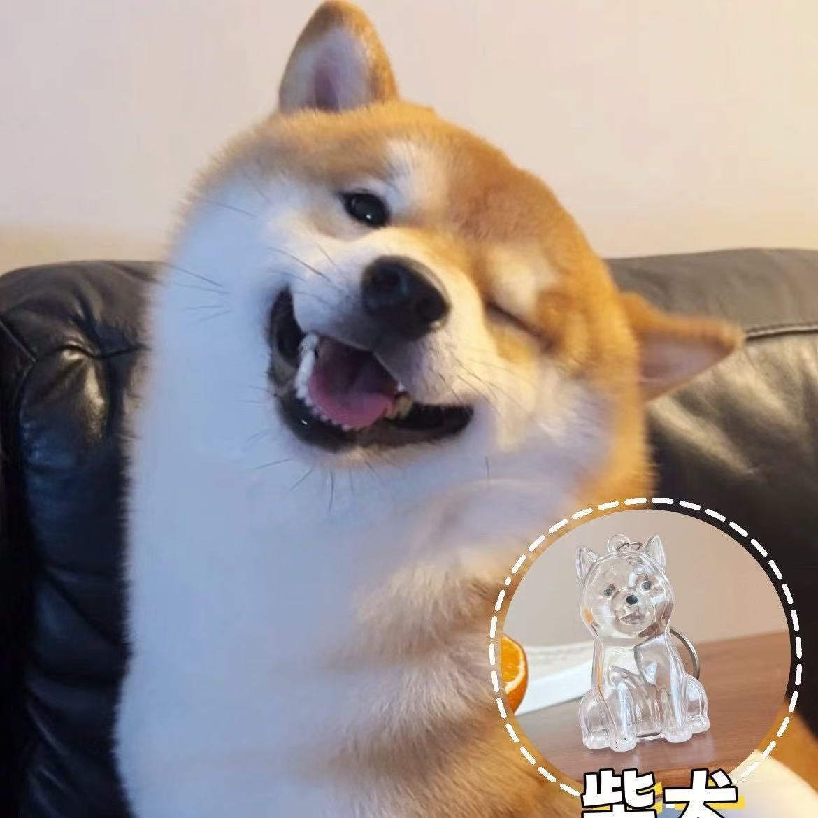 Perlo de mascota conmemorativo llavero colgante lindo perro colección de pelo transparente de perro grande forma de llave creativa