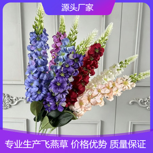 ��֧���~�ݸ߼��з��滨�w����L�������_�m�ٻ��Ҿӻ�c�b���