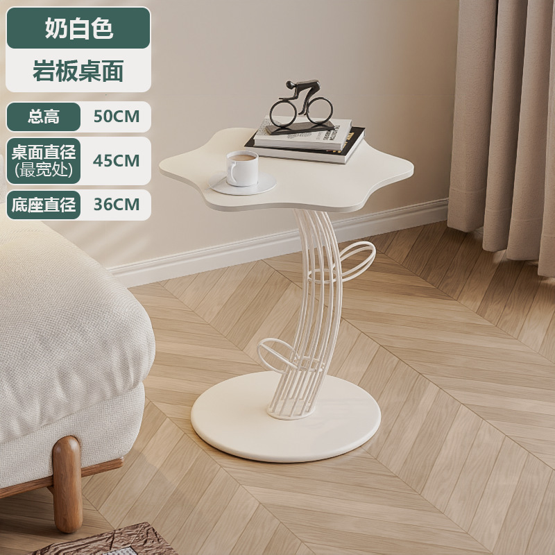 흰 선인장 + 구름 바위 석판