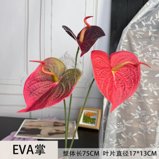 ��Ʒ�|���滨��c��Y���b��쾰��ˇ�͏d���P�[���ָІ�֧EVA��