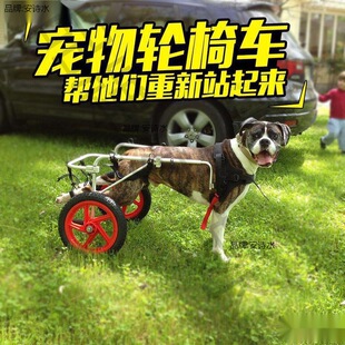 Car Car Disabled Wheelchair Pet Dog Number Dog Pet Rehabilitation Training Disabled L Wheelchair Car