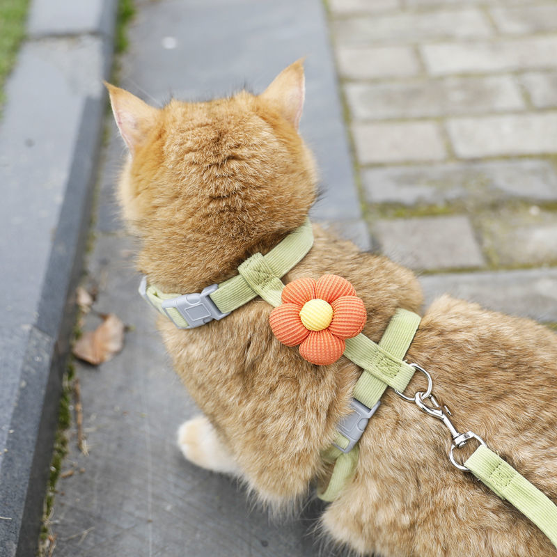 猫咪卡通牵引绳外出挣脱工字型调节宠物专用布偶泰迪小型绳子犬用|undefined