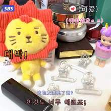 多功能透明ins简约燕尾夹光板塑料小夹子试卷纸张票据收纳