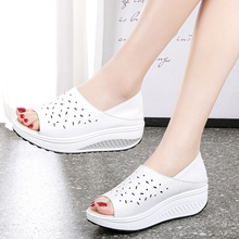 ��Ƥ��כ�ЬһЬ�ɴ�С��Ь�~�����m���e������ЬŮ�ɸ�׬���Ь