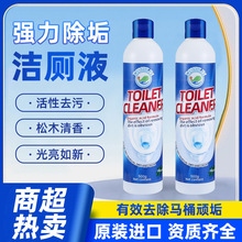 蒂诗琳日用持久留香强力去污家用专用马桶500ml洁厕灵清洁剂批发