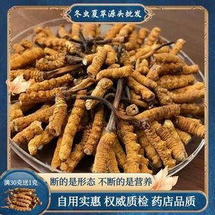 ���x�Ĳݔ���؃r �x�ݴ��ݸ�؛ ��ݲ��Լ����ݾ��������x�Ĳ�