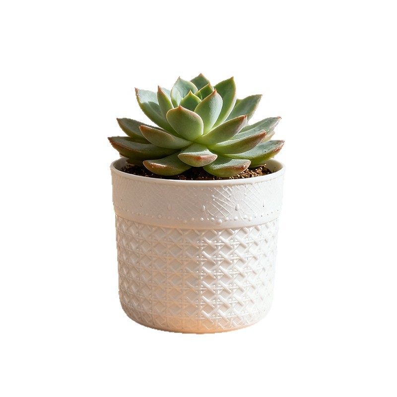 Pequeña maceta de plantas verdes delicada maceta de plantas domésticas no porosas maceta de plástico moderna mini maceta de escritorio