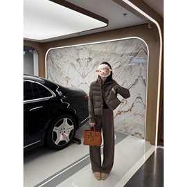 现 2025冬季新款韩国韩版气质简约风保暖小立领短款羽绒服外套