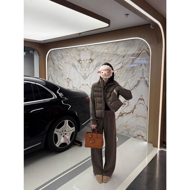 The New 2025 Winter Korean Style Simple and Elegant Warm Short down Jacket with a Small Stand-Up Collar The New 2025 Winter Korean Style Simple and Elegant Warm Short down Jacket with a Small Stand-Up Collar