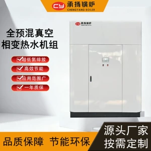 [全预混真空热水锅炉全自动别墅酒店小型商用233kW0.23MW20万大卡]