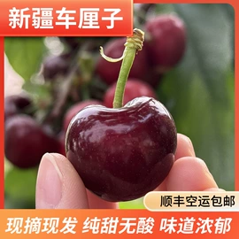 红枣干;葡萄干;苹果干