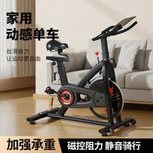 动感单车家用健身器小型自行车专业房室内脚踏运动静音锻炼机健身-阿里巴巴