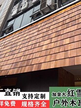 �tѩ�ɷ���ľ��Ƭ�~�[����피��ô����ľ��픟���ľ�堝ȹľ��Ƭ