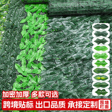 �羳����h�ʇ��ھGֲ�~������ֲ��h�ʑ��⠝���b���s�ř����l