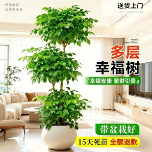 �����Ҹ������Կ͏d�����k���҃ȾGֲ�Ϙ��G�����·��լ��ֲؔ��