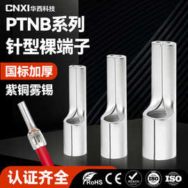 CNXI华西科技PTNB针型裸端子冷压接线端子插针式紫铜接线耳铜线鼻