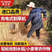 �oˢ늄Ӹ�ݙC���ʽС�ͼ��ò�ƺ�C�๦���r���ո���@���ݙC