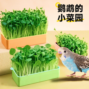�W�^�㶹��С�B�Ե���Ȼ�߲˿�ҧ��߻�Ƥĵ��С̫ꖽ␞�������P