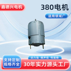 ソースメーカーモーターは小型家電機器380手持ち洗浄機モーター直流減速マイクロモーターを適用している