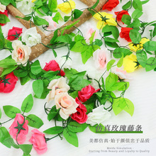 ����õ���ٗl�b��Ƶ��픿��{�ܾ��ړ��p�@�����҃ȼٻ�ˇ����