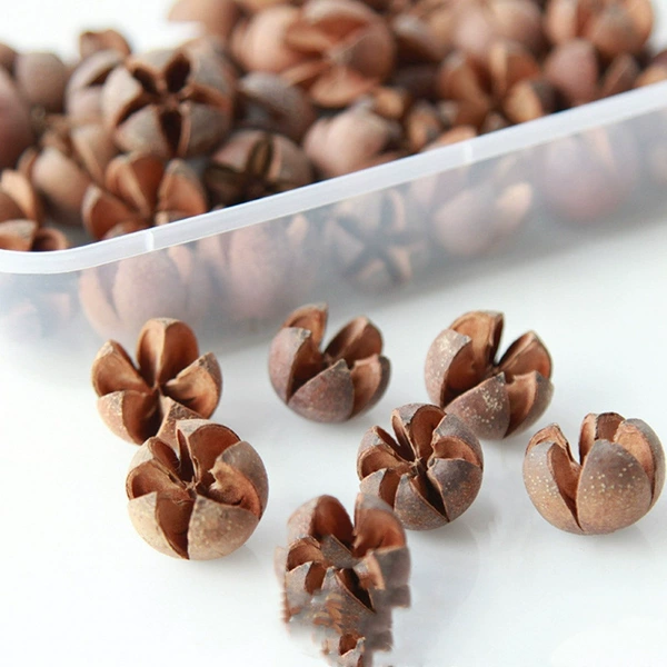 5 cross fruits—dried flower bag