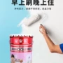 防霉防潮活动今天内墙漆