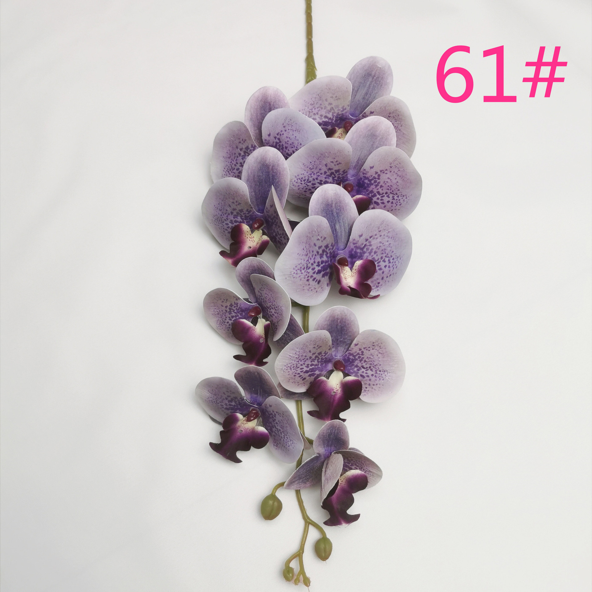 IMG_20220531_180013_副本