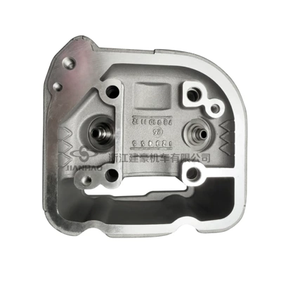 Head 161 Bore – Motorcycle engine and accessories