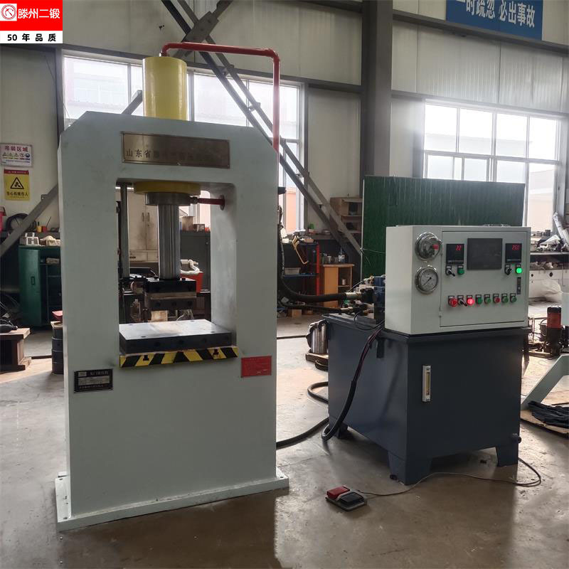 Customized Gantry 50t 63t 80 Ton Bearing Press Machine Stamping and Disassembly Press Small Hydraulic Press