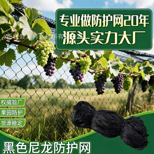 ������@�������ѵ����~���������B�W���@�˵����׵ط��o�W