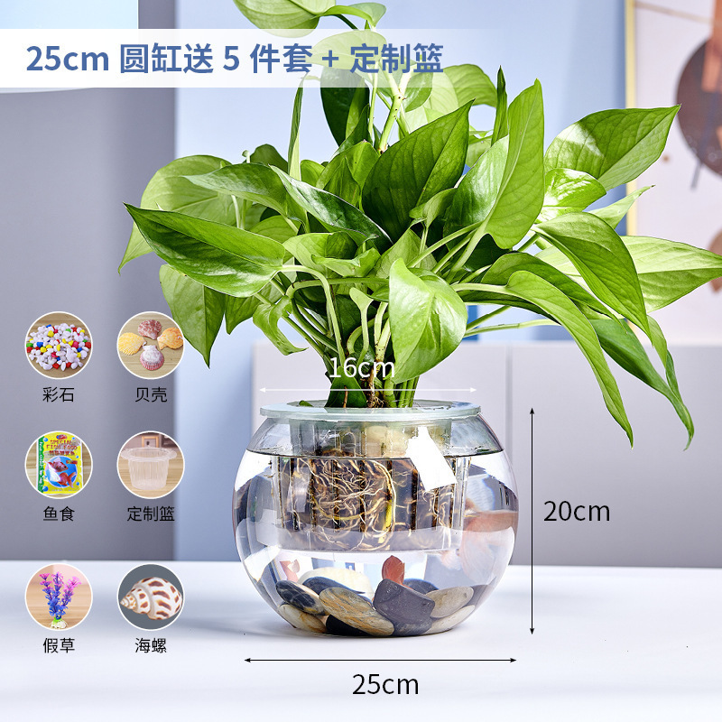 办公室小鱼缸加厚透明玻璃乌龟缸客厅家用桌面圆形迷你小型金鱼缸|undefined