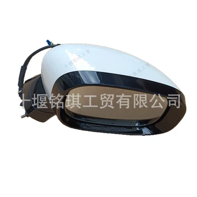 R50007483J R50007463J, Car mirror