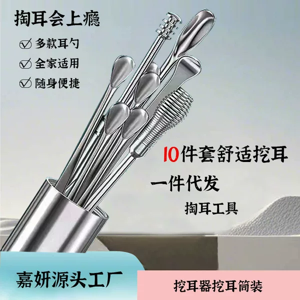 10-Piece Ear Cleaning Tool Set Stainless Steel Ear Picking Tool Set Ear Scoop Earwax Remover Amazon Bestseller