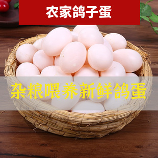 ���Zʳι�B���r���ӵ���30ö600��+���������ӵ�������S���]