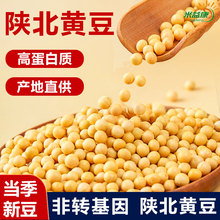 米益康黄豆新货一斤黄豆农家自种大豆生豆芽打豆浆专用豆子批发