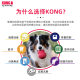 KONG Dog Vocal Toy Grinding Rope Knot Padded Bear Plush Toy Corgi Small Dog Pet Bite to relieve boredom