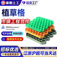 植草格消防通道停车场用加强抗压塑料草坪网格砖园林绿化河道护坡