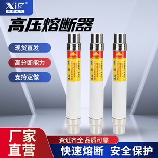 Xingrong Xrnt-10Kv Sdlaj-12Kv3.15A 6.3A -40A Various High Voltage Fuses
