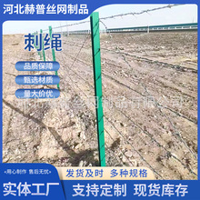 �����p��䓽z���K����\���K�����F�z���P䓴��K���@�O�z���I���K