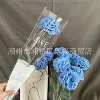 Carnation blue