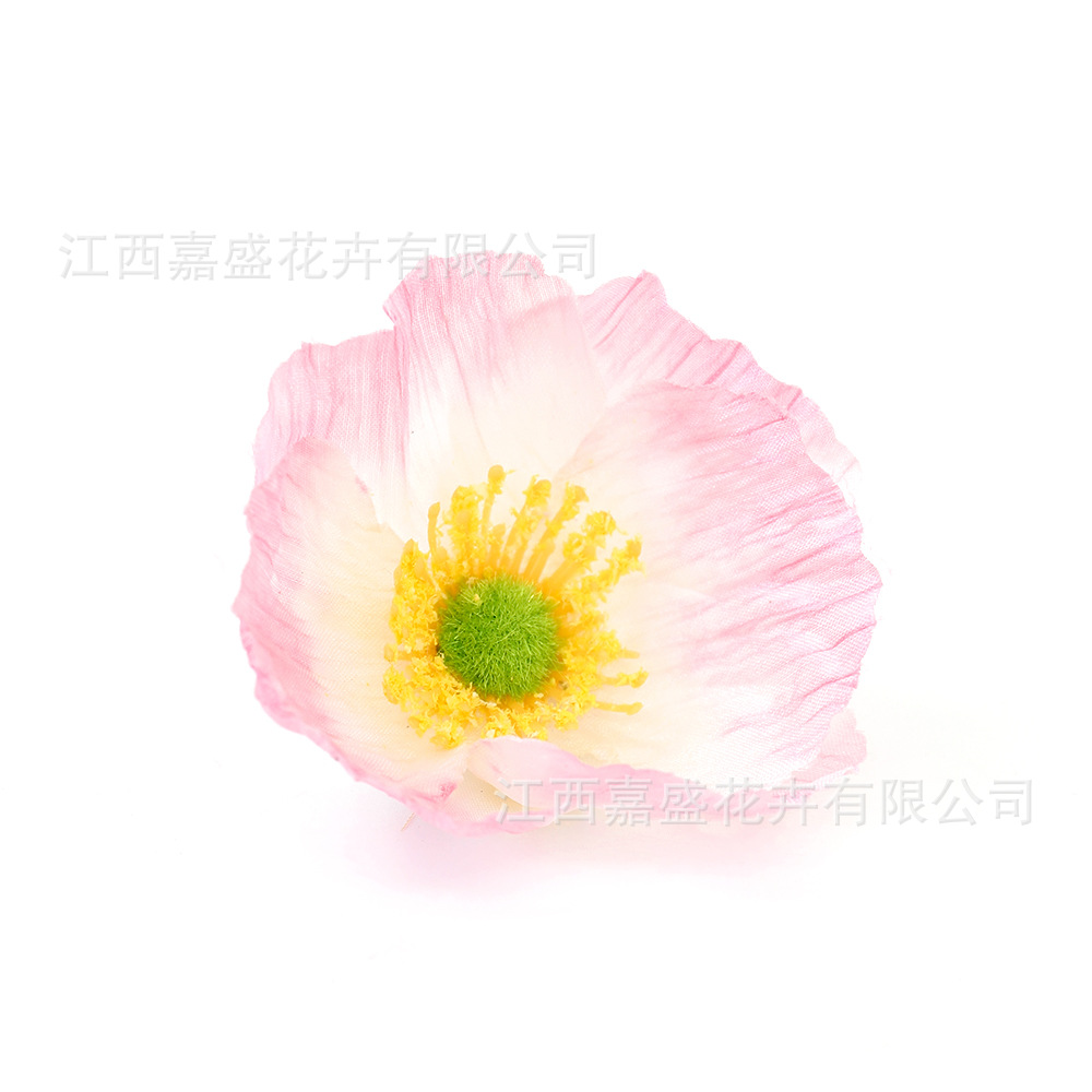 핑크 화이트