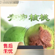 �����Һ�ـ��ñ���͸���Ƥ������������䌦���r���ߪ{���^��Ƥ�y