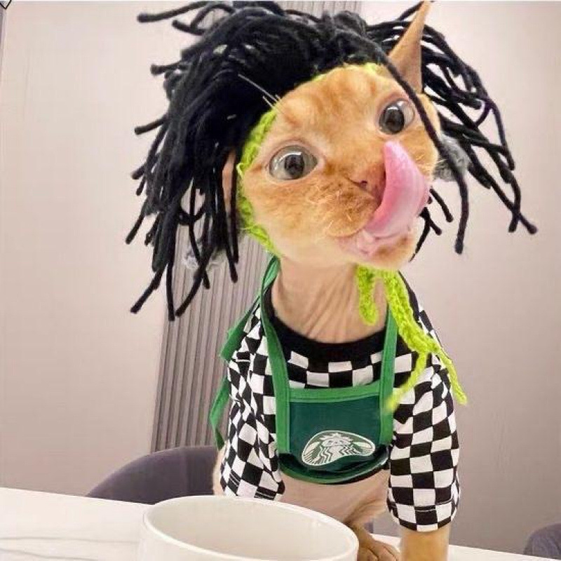 宠物头套猫咪狗狗编织帽子道具头饰搞笑变身服批发|undefined